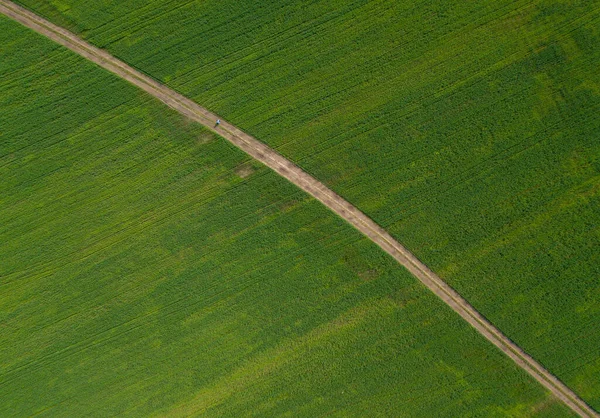 Vägen Genom Fältet Flyglandskapet Folk Går Igenom Det Gröna Vetefältet — Stockfoto