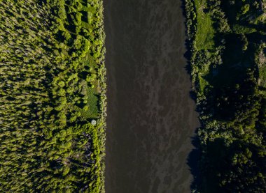 Havadan bakıldığında Vasyugan bataklığı. Dünyanın en büyük bataklığı. Ob nehir havzası. Tomsk bölgesi, Sibirya, Rusya