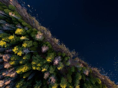 Havadan bakıldığında Vasyugan bataklığı. Dünyanın en büyük bataklığı. Ob nehir havzası. Tomsk bölgesi, Sibirya, Rusya