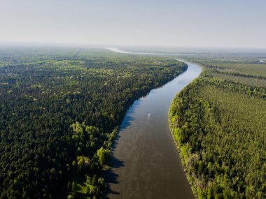 Havadan bakıldığında Vasyugan bataklığı. Dünyanın en büyük bataklığı. Ob nehir havzası. Tomsk bölgesi, Sibirya, Rusya