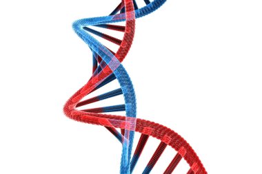 Beyaz arkaplandaki DNA yapısı 3D illüstrasyon 