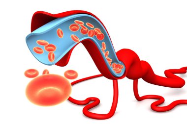Streaming blood cells on white background.3d illustration  clipart