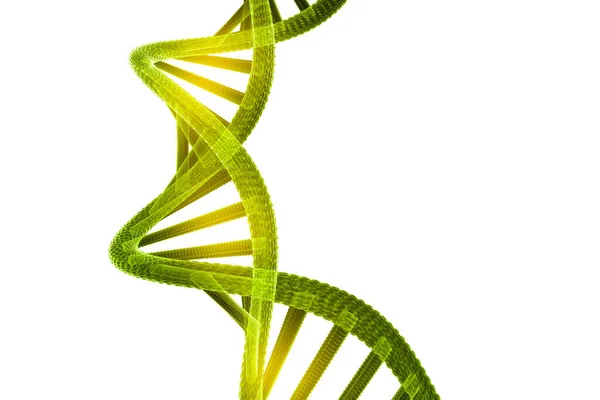 Dna Structure White Background Illustration — Stock Photo, Image