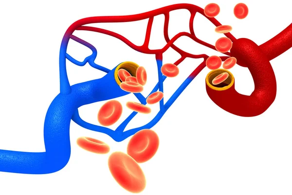 Strömmande Blodkroppar Vit Bakgrund Illustration — Stockfoto