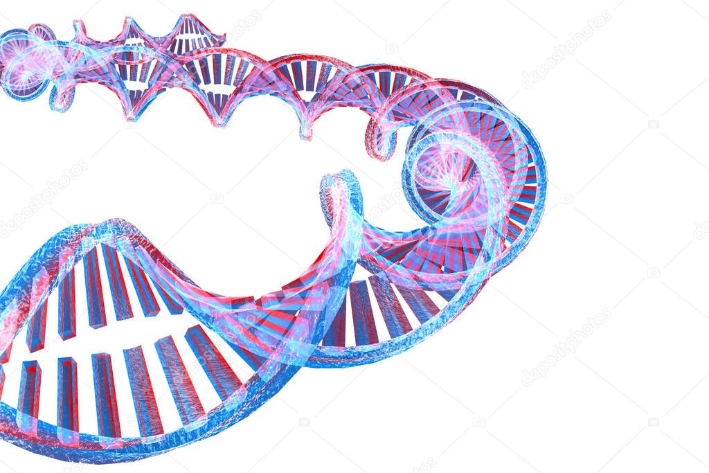 DNA structure on white background.3d illustration 