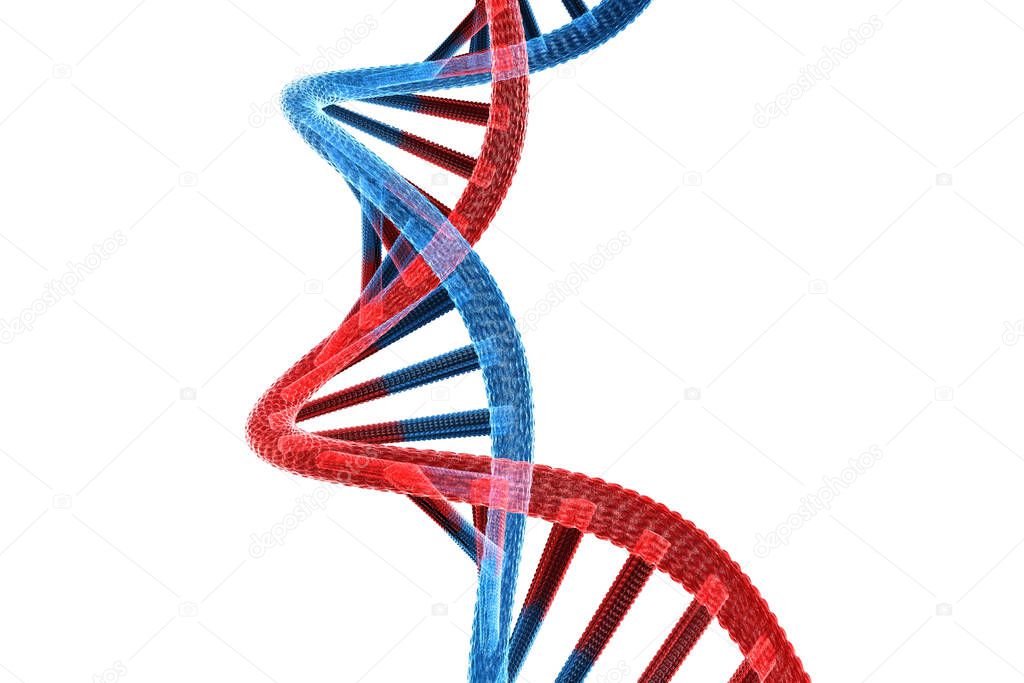 DNA structure on white background.3d illustration 