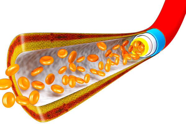 Поток клеток крови.