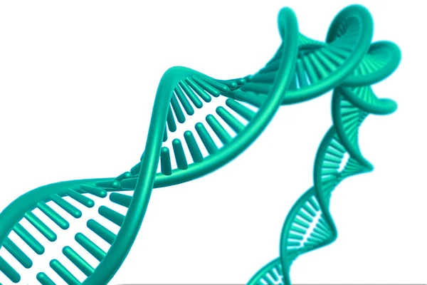 Dna Structure White Background Render — Stock Photo, Image