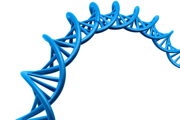 Estructura Adn Sobre Fondo Blanco Render — Foto de Stock