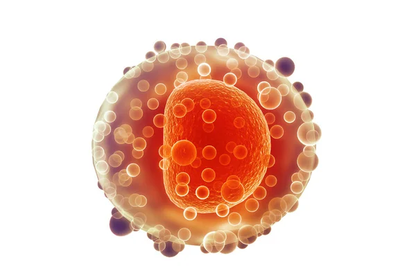 ヒトの卵細胞 3Dレンダリング — ストック写真