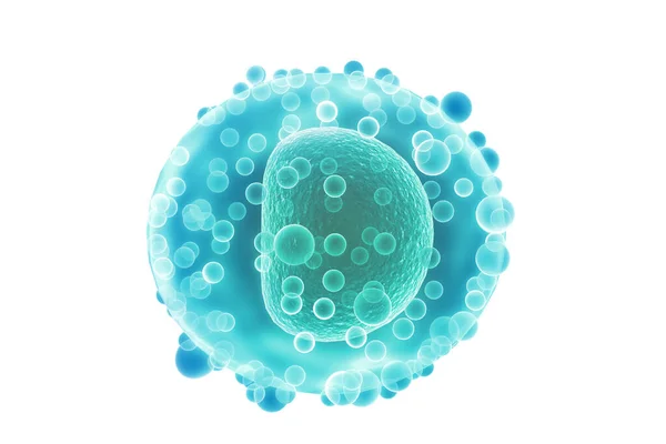 Human Egg Cell Render — Stock Photo, Image