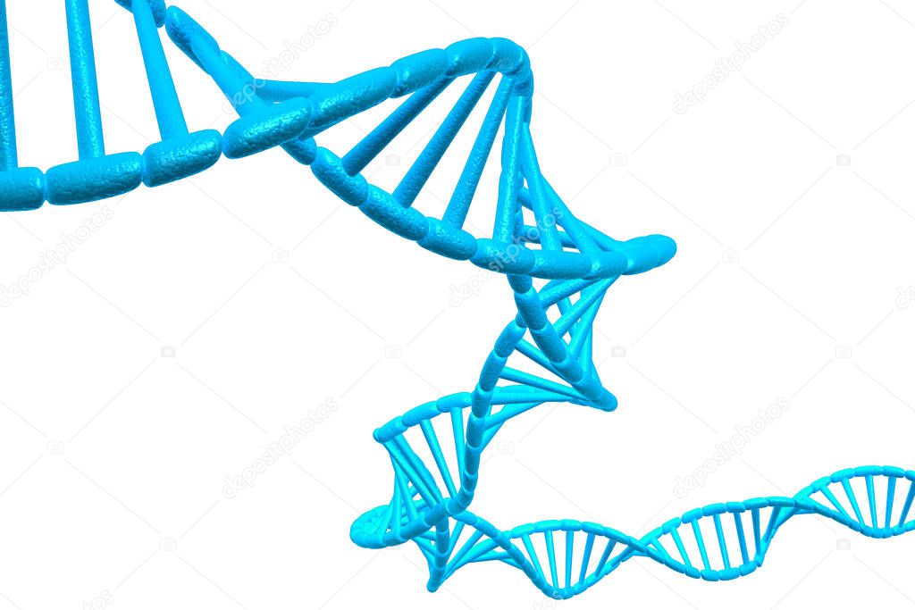 DNA structure on white background.3d render