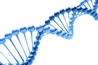 DNA yapısı 3D oluşturucu