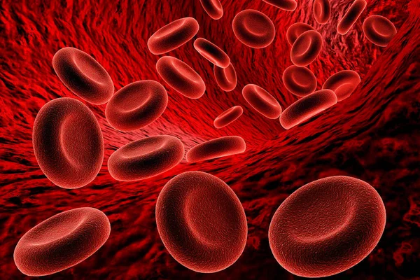 Blodceller Vit Bakgrund — Stockfoto