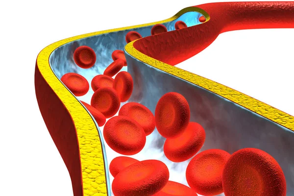 Kan Hücreleri Boyutlu — Stok fotoğraf