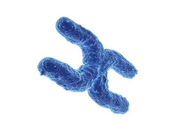 白い背景の染色体 3Dレンダリング — ストック写真