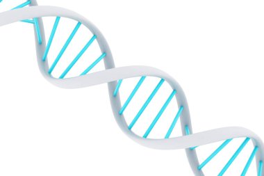 DNA yapısı. 3d hazırlayıcı