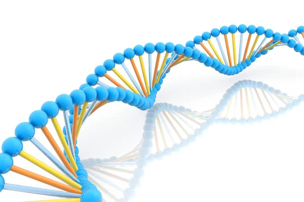 Dna Structure Render — Stock Photo, Image