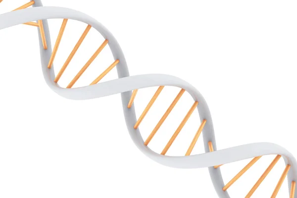 Dna Structure Render — Stock Photo, Image