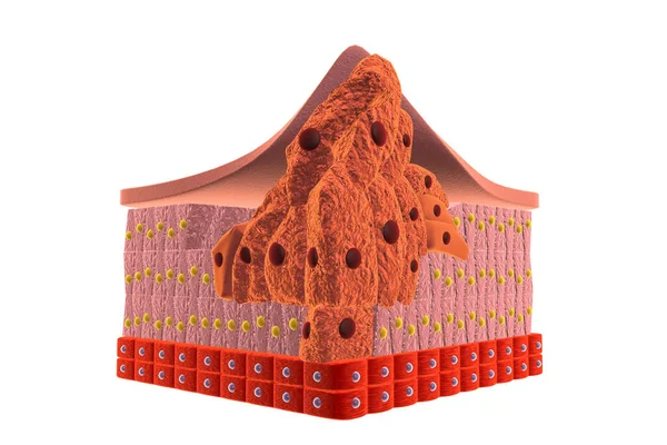 Kanser hücreleri. 3D görüntüleme.