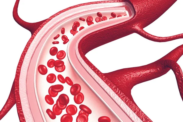 Blutzellen Einer Arterie — Stockfoto