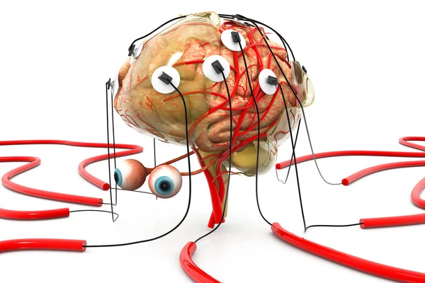 Brain Analysis Concept Power Human Mind Render — Stock Photo, Image