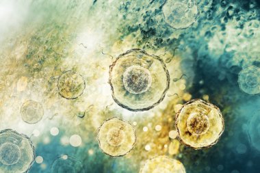 Bilimsel arka planda insan yumurtası hücresi. 3d illüstrasyon