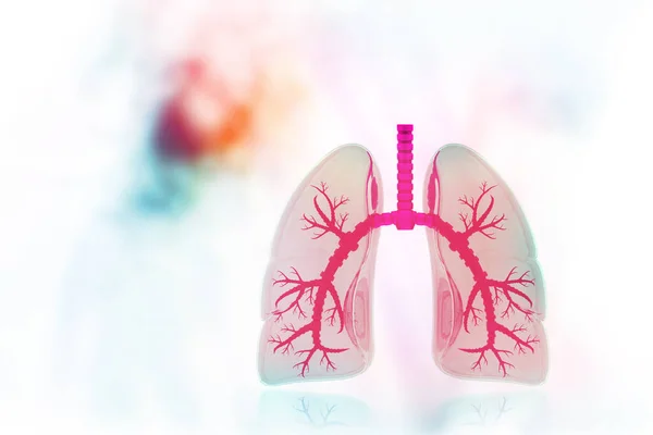 Human Lungs Science Background Illustration — Stock Photo, Image