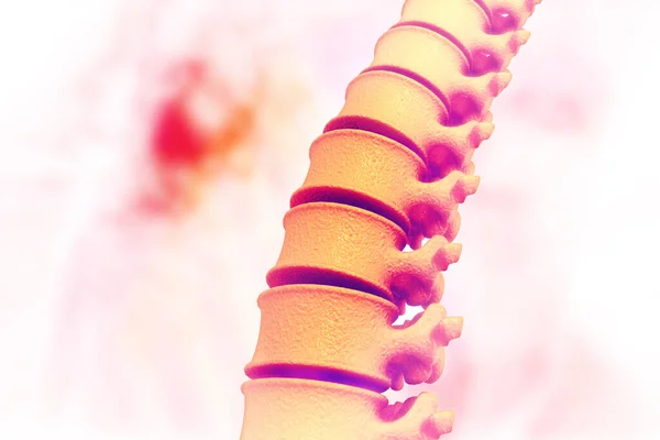 Human Spine Scientific Background Illustration — Stock Photo, Image