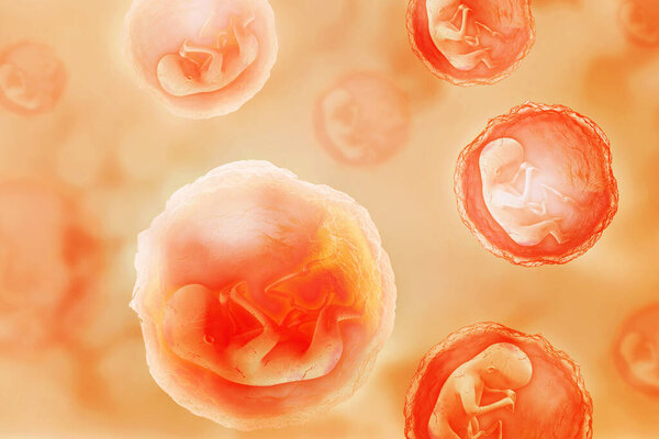 Human fetus on scientific background. 3d illustration