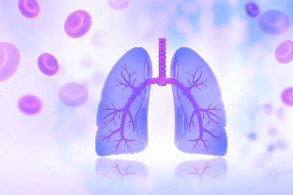 Human lungs on scientific background. 3d illustration