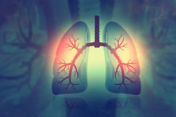 Human Lungs Scientific Background Illustration — Stock Photo, Image