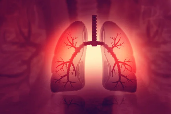 Human Lungs Scientific Background Illustration — Stock Photo, Image