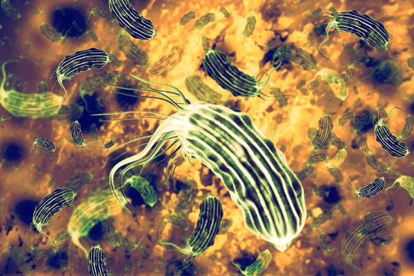 Bacteriën Wetenschappelijke Achtergrond Illustratie — Stockfoto