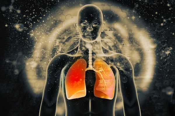Human Respiratory System Digitální Ilustrace — Stock fotografie