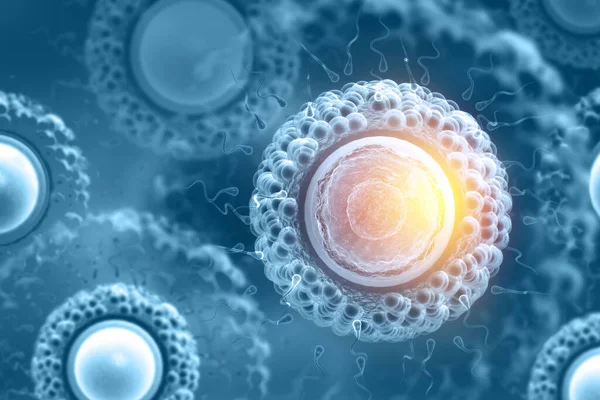 科学的な背景に精子と卵の細胞 3Dイラスト — ストック写真