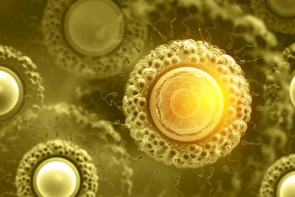 Сперматозоиды Яйцеклетки Научном Фоне Иллюстрация — стоковое фото