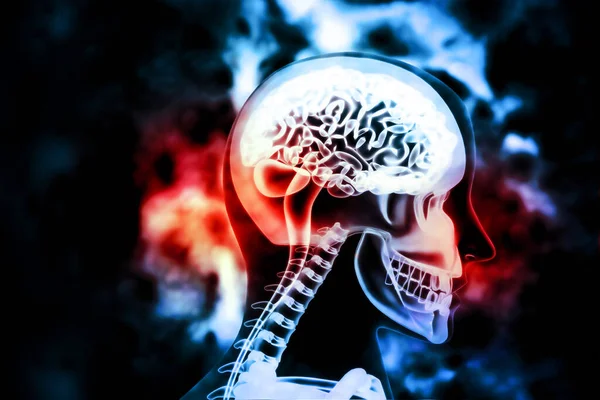 Ludzki Obraz Rentgenowski Mózgu Tle Naukowym — Zdjęcie stockowe