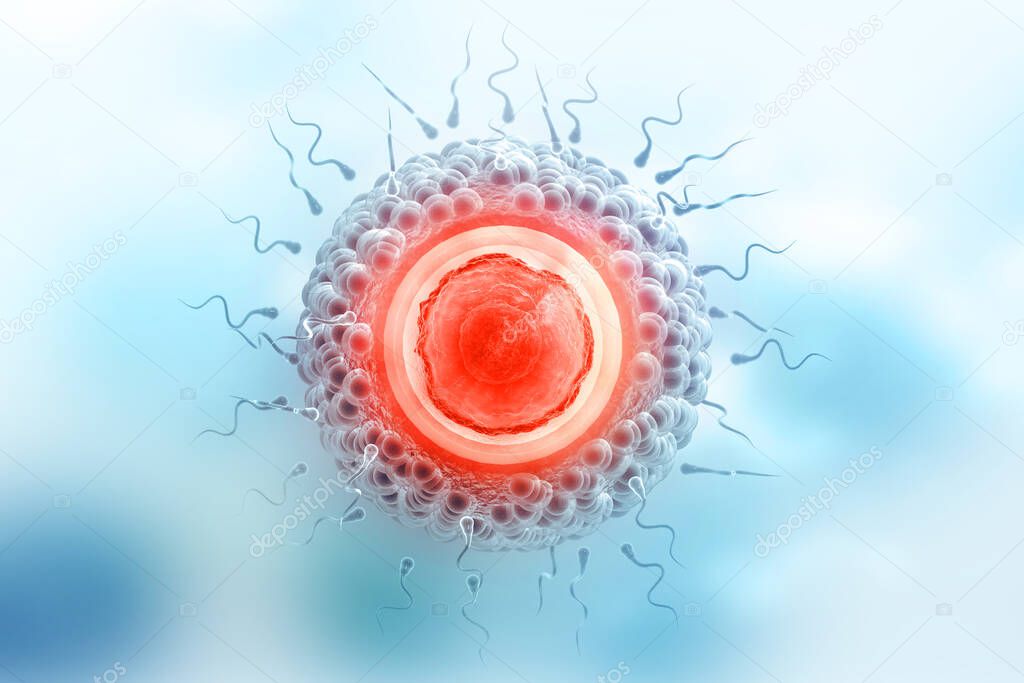 Sperm and egg cell on scientific background. 3d illustration