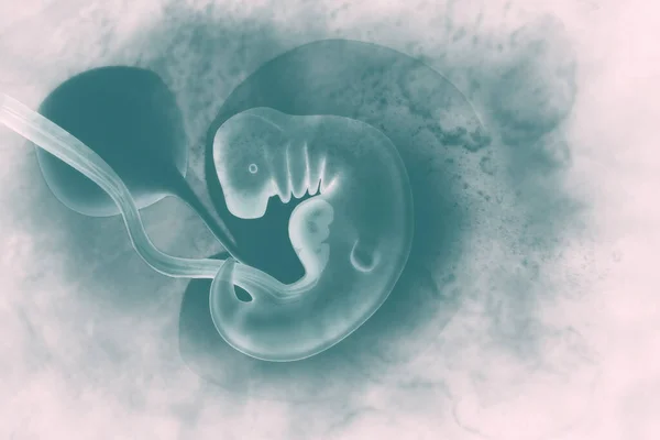 Menselijke Foetus Wetenschappelijke Achtergrond Illustratie — Stockfoto