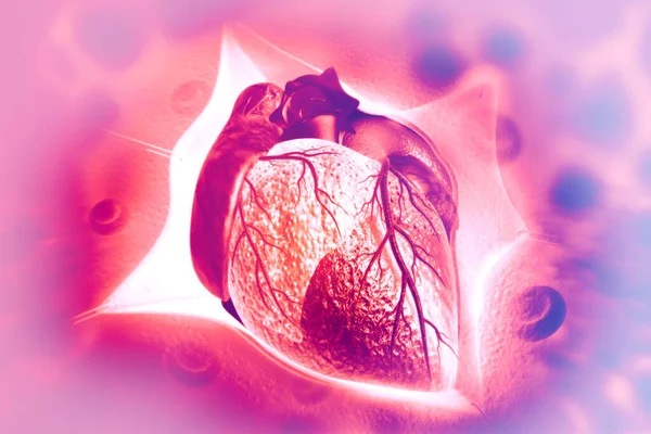 Människans Hjärta Vetenskaplig Bakgrund Illustration — Stockfoto