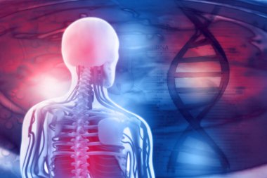 Bilimsel arka planda insan anatomisi 3D illüstrasyon