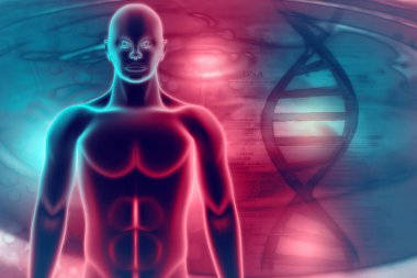 Bilimsel arka planda insan anatomisi 3D illüstrasyon