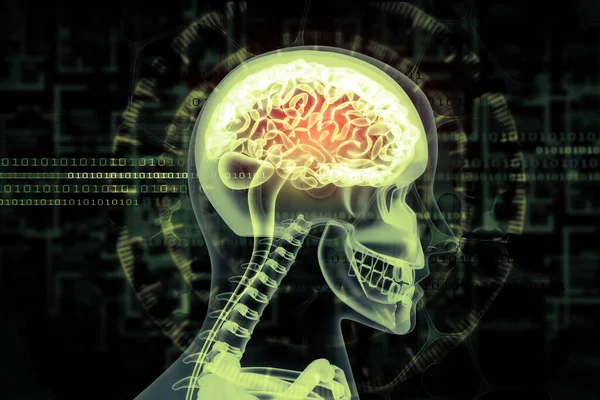 Ludzki Obraz Rentgenowski Mózgu Tle Naukowym — Zdjęcie stockowe