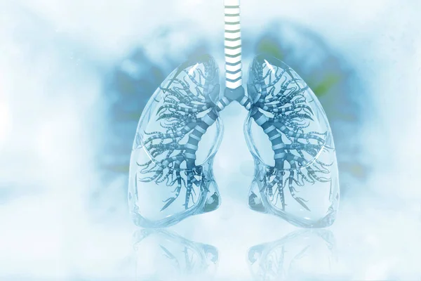 Human Lungs Scientific Background Illustration — Stock Photo, Image