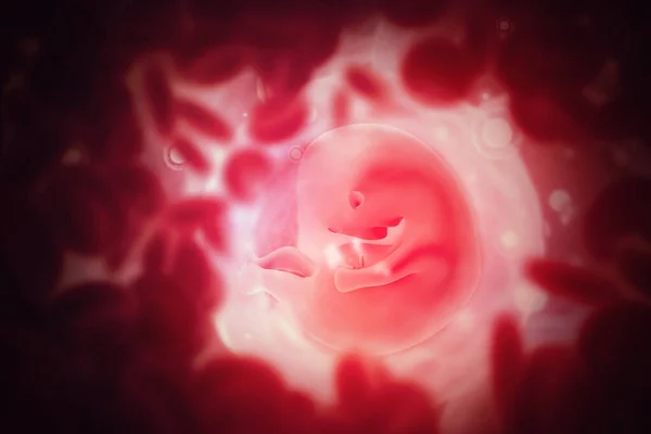 Menselijke Foetus Wetenschappelijke Achtergrond Illustratie — Stockfoto