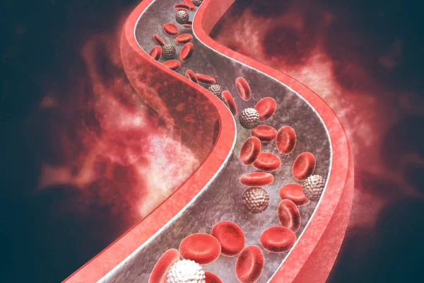 Cellules Sanguines Dans Une Artère Illustration — Photo