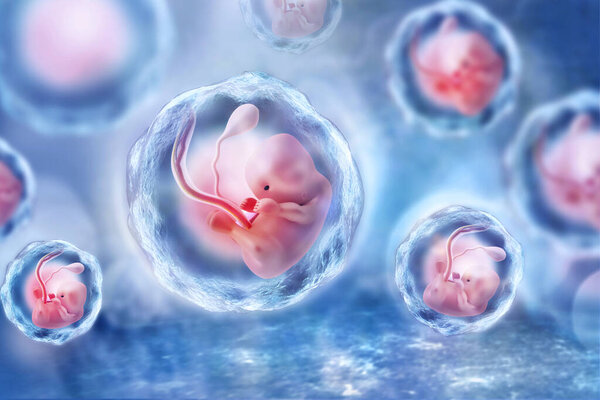 Human fetus on scientific background. 3d illustration