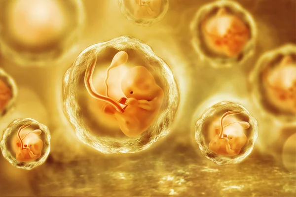 Human Fetus Scientific Background Illustration — Stock Photo, Image