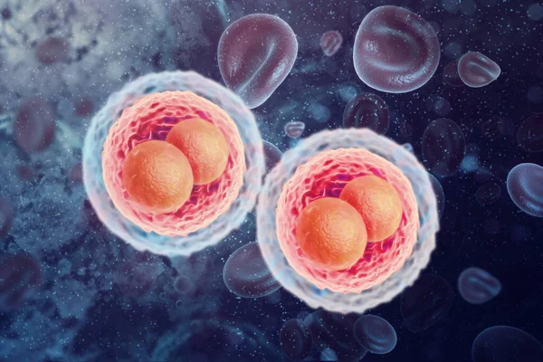 Cellen Met Kern Wetenschappelijke Achtergrond Illustratie — Stockfoto